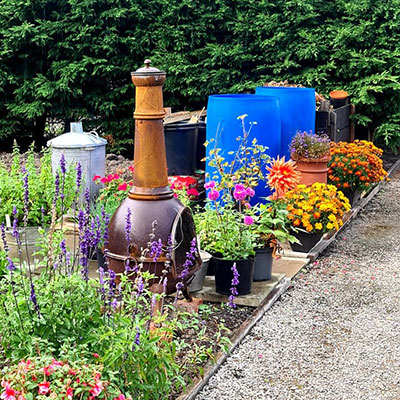 Photo of another allotment in Fleetwood