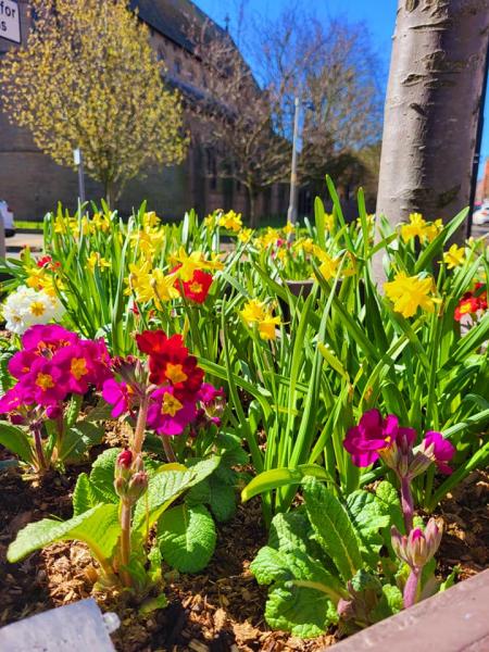 Fleetwood in Bloom 2023 Gallery Main Photo